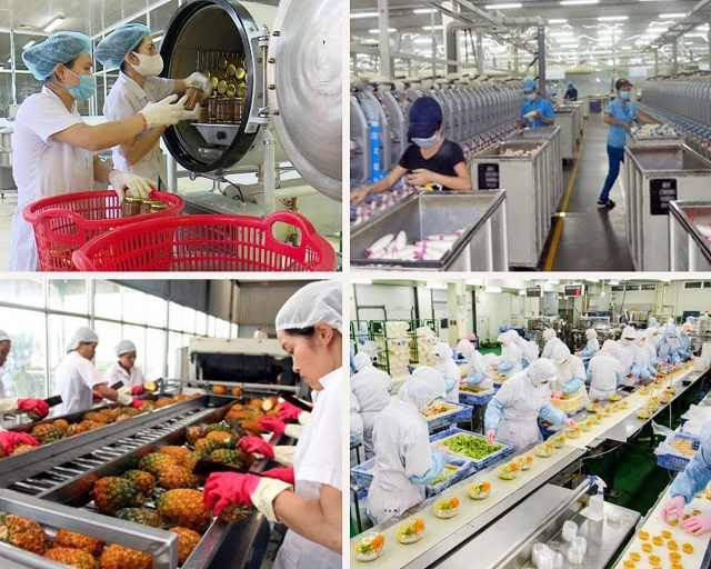 Strategies to bolster exports for prioritised sectors and fields